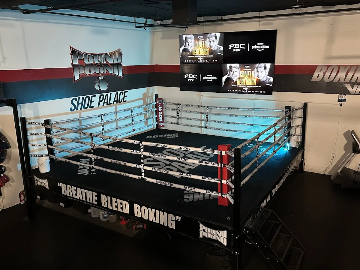 Las Vegas Boxing