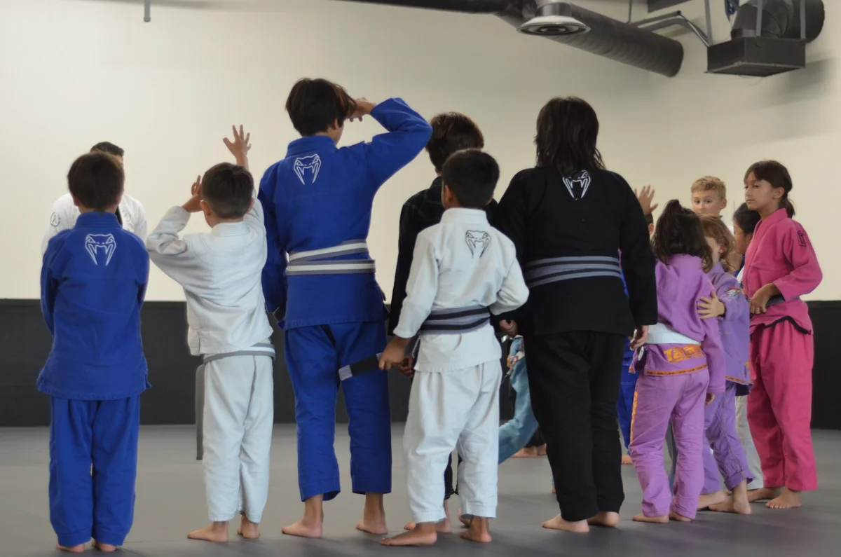 HYBRID JIUJITSU