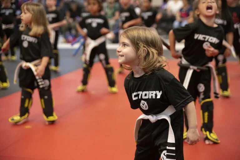 Victory Martial Arts - Sky Pointe