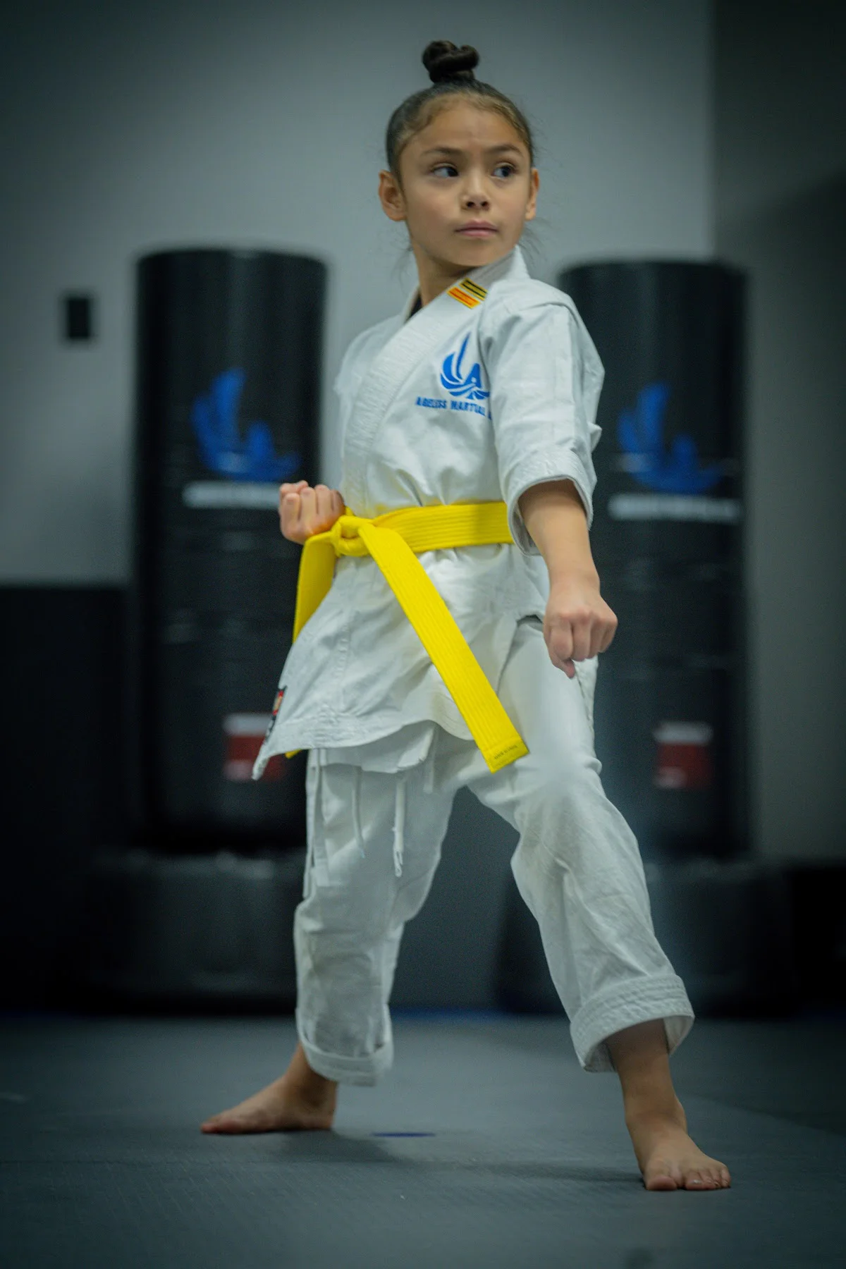 Ageless Martial Arts Las Vegas