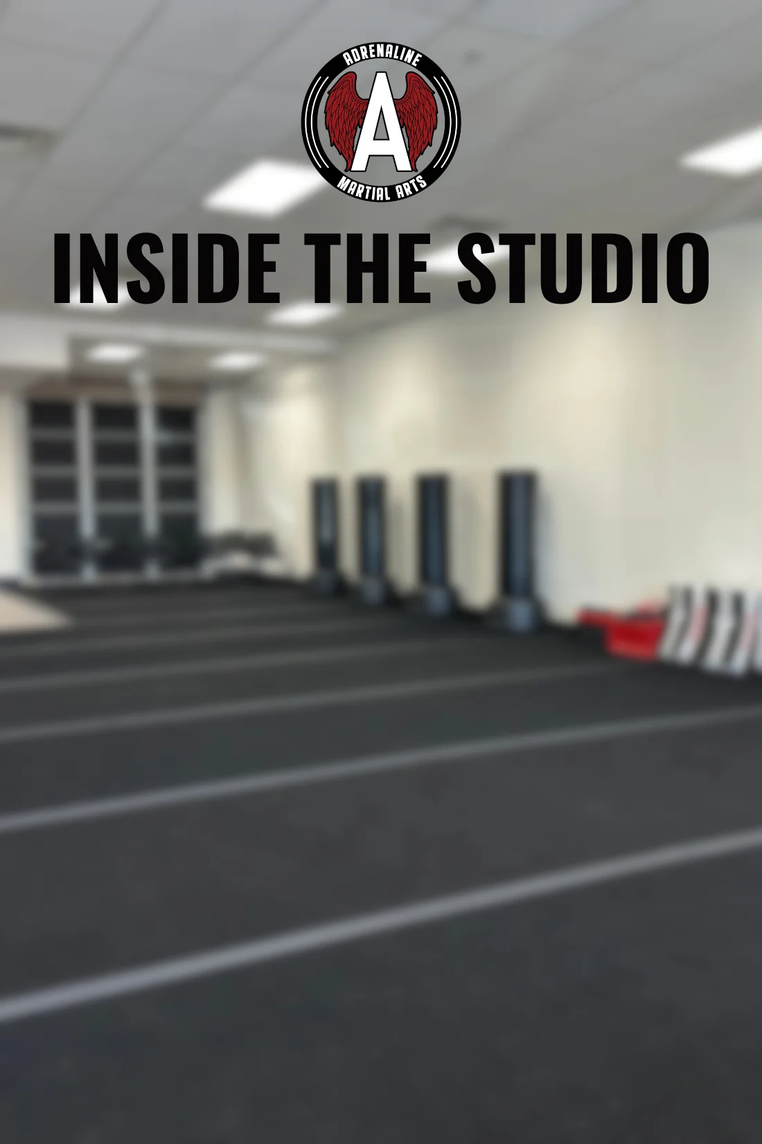 Adrenaline Martial Arts